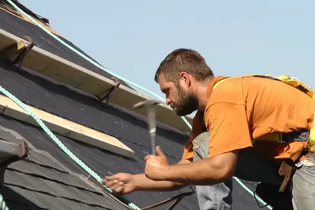 Démoussage et protection hydrofuge